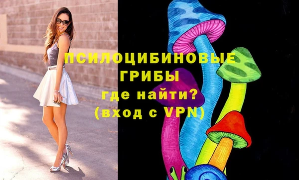spice Надым