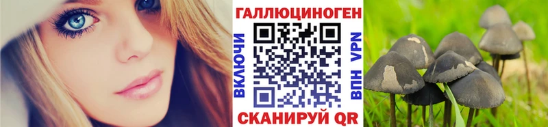 Галлюциногенные грибы Magic Shrooms  Купить  Кашин 